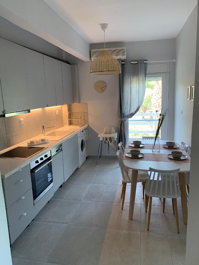 פסאקודיה Gerakini Apartment מראה חיצוני תמונה