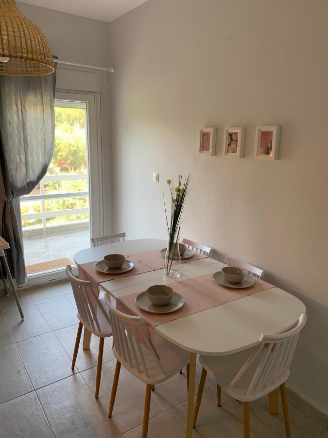 פסאקודיה Gerakini Apartment מראה חיצוני תמונה